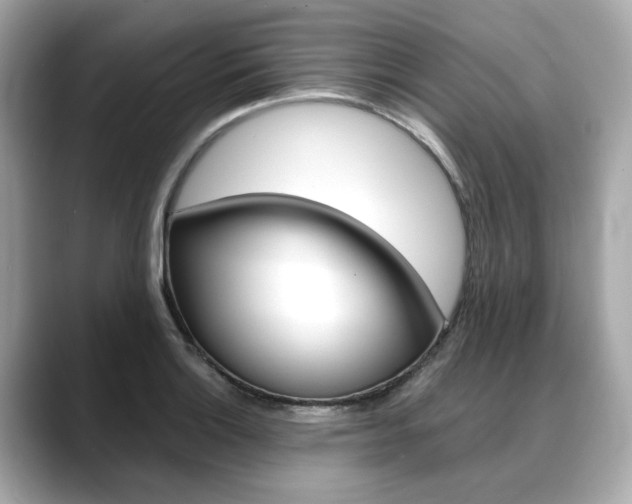X0000088701132200705311011