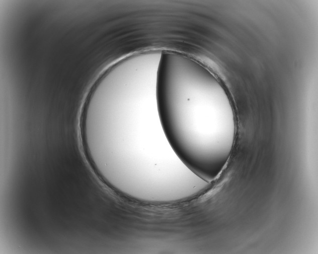 X0000088701133200705311011