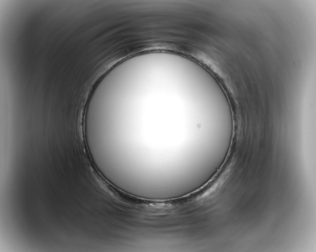 X0000088701137200705311011