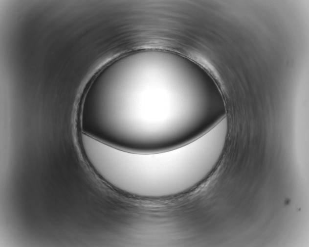 X0000088701138200705311011