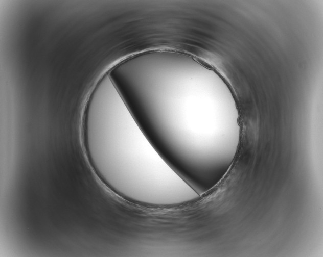 X0000088701143200705311011