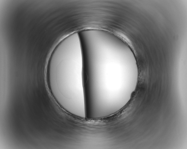 X0000088701146200705311011
