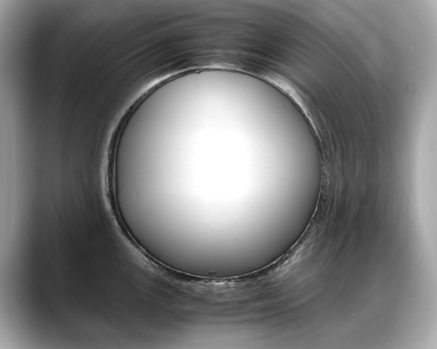X0000088701147200705311011