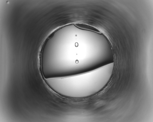 X0000088701151200705311011