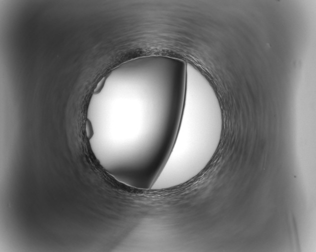 X0000088701153200705311011