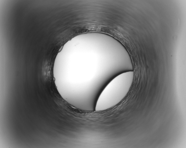 X0000088701154200705311011