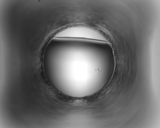 X0000088701160200705311011