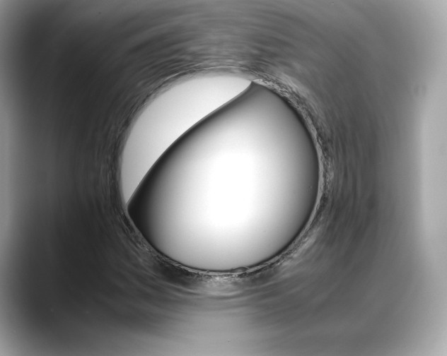 X0000088701161200705311011