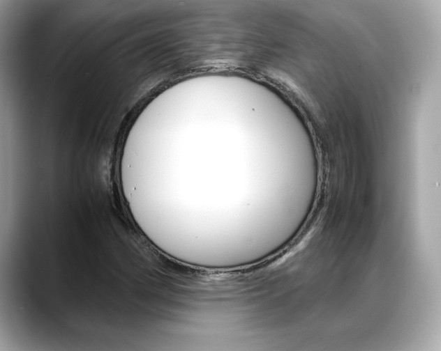 X0000088701162200705311011