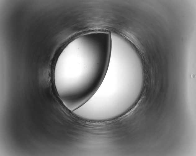 X0000088701164200705311011