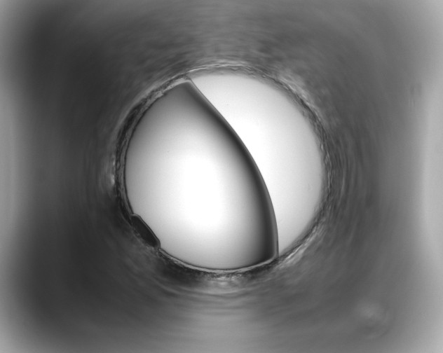 X0000088701165200705311011