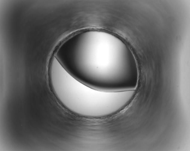 X0000088701168200705311011