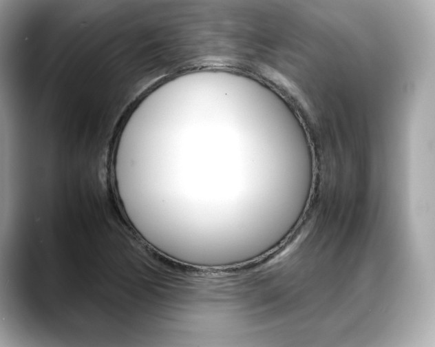 X0000088701170200705311011