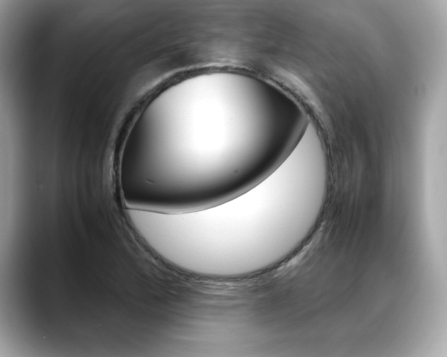 X0000088701172200705311010