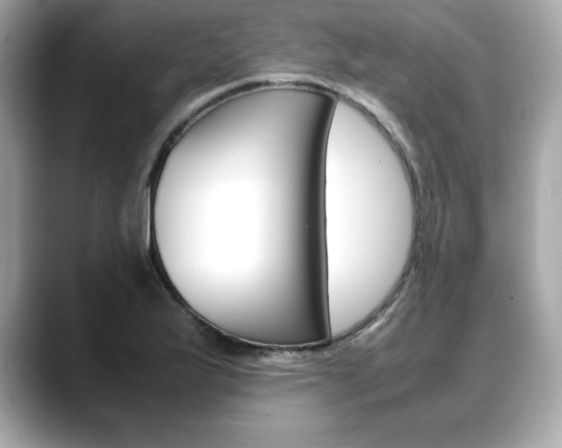 X0000088701175200705311010