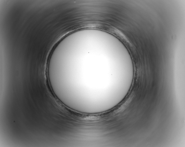 X0000088701178200705311010