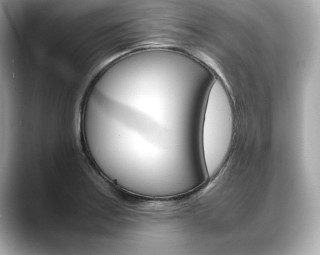 X0000088701179200705311010