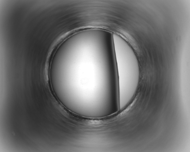 X0000088701180200705311010