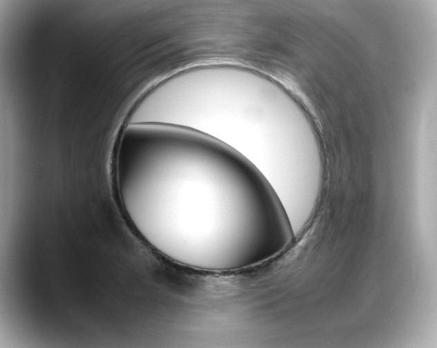 X0000088701181200705311010