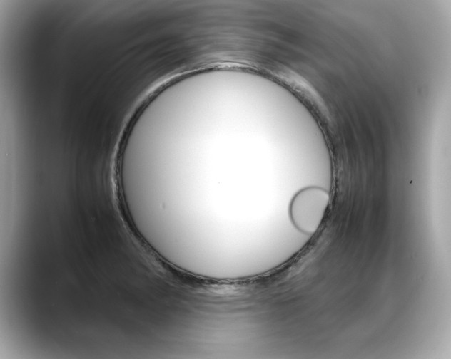 X0000088701182200705311010
