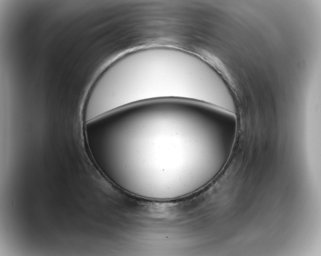 X0000088701184200705311010