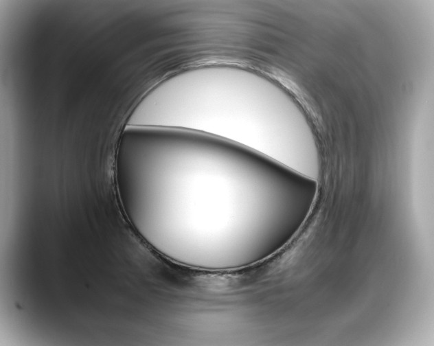 X0000088701185200705311010