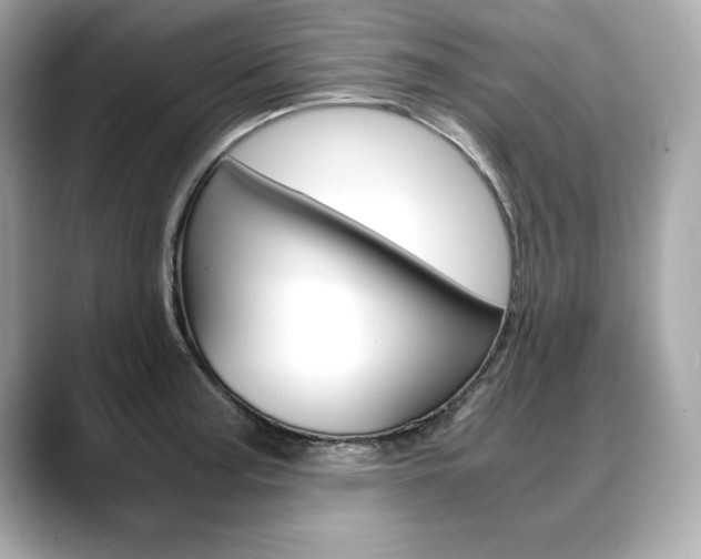 X0000088701187200705311010