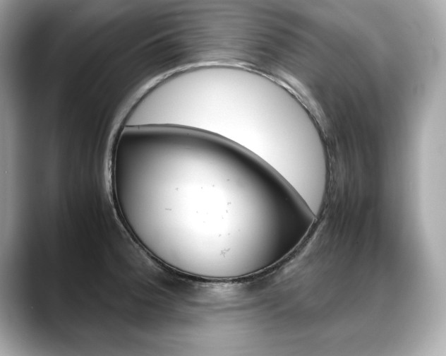 X0000088701188200705311010