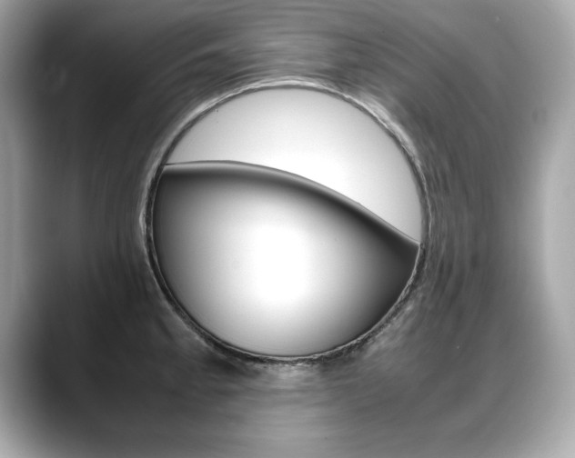 X0000088701189200705311010
