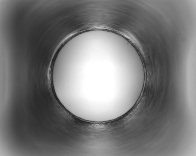 X0000088701190200705311010