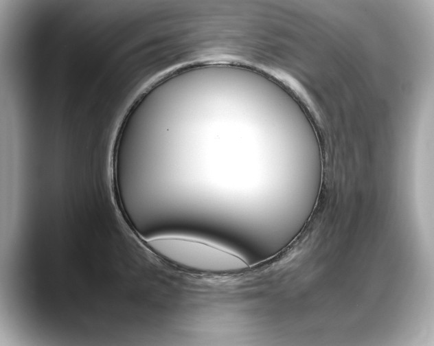 X0000088701191200705311010