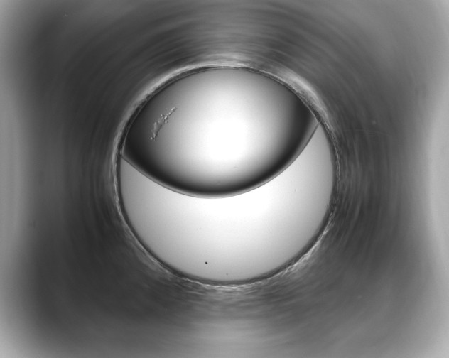 X0000088701192200705311010
