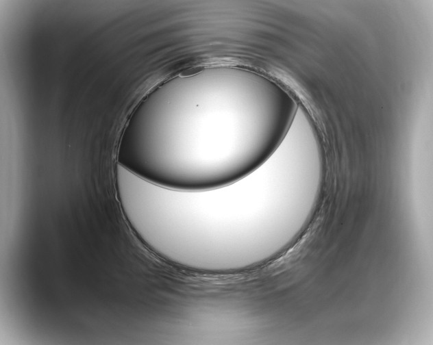 X0000088701193200705311010