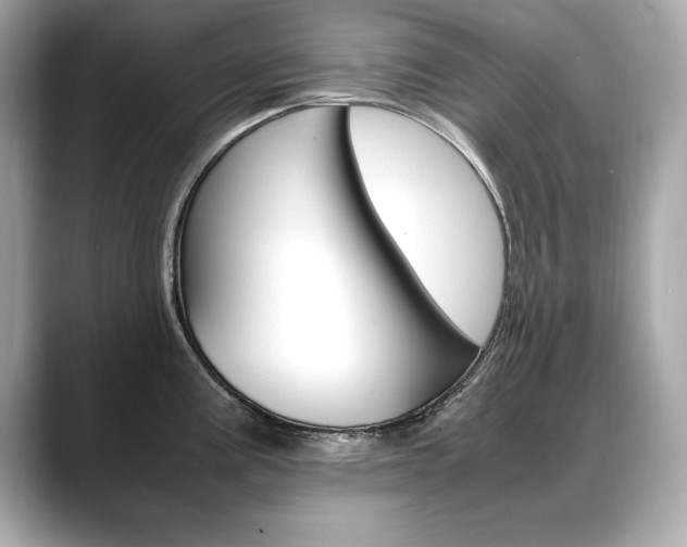X0000088701195200705311010