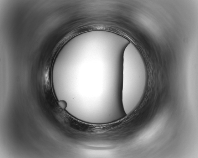 X0000088701198200705311010