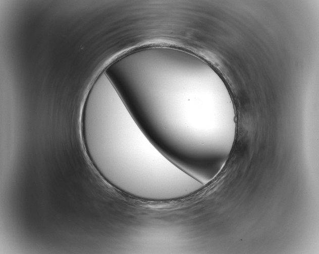 X0000088701199200705311010