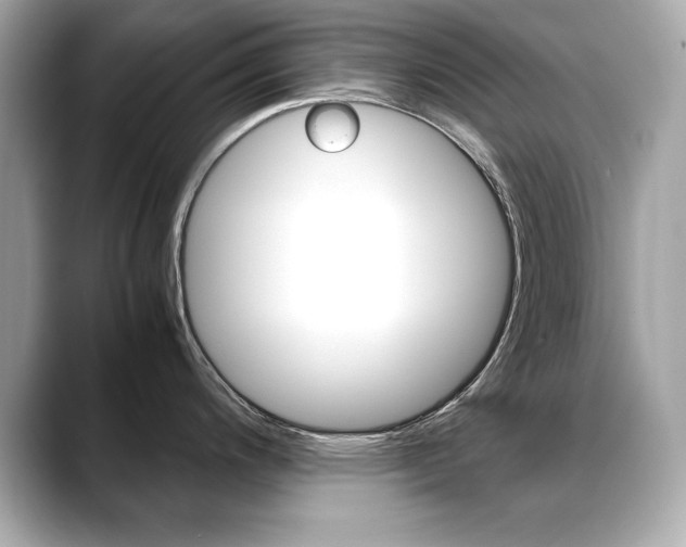 X0000088701200200705311010