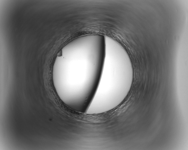 X0000088701201200705311010