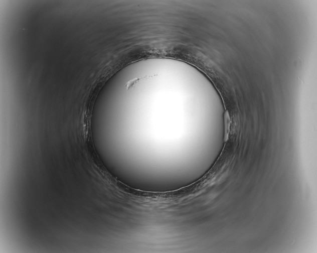 X0000088701202200705311010