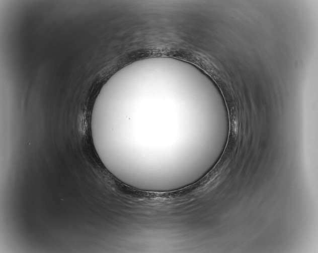 X0000088701204200705311010