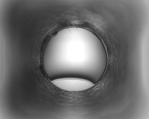 X0000088701205200705311010
