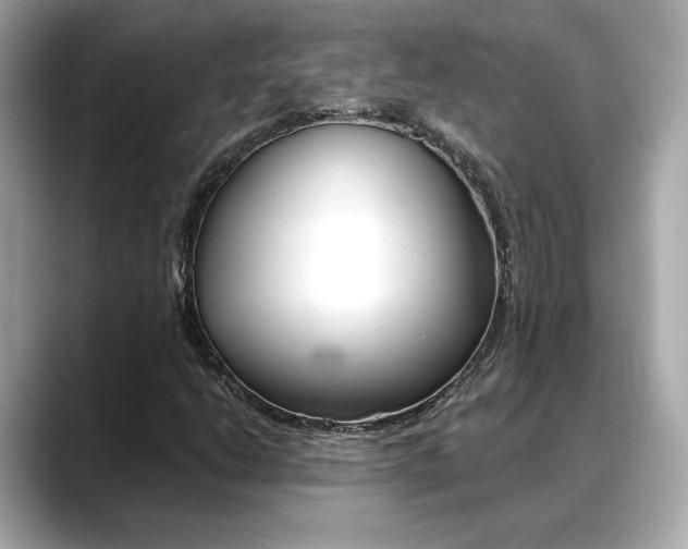 X0000088701206200705311010