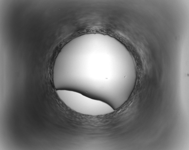 X0000088701207200705311010