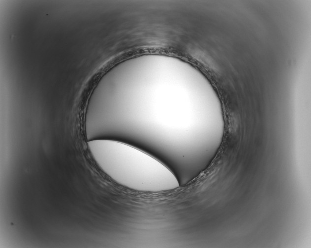X0000088701208200705311010