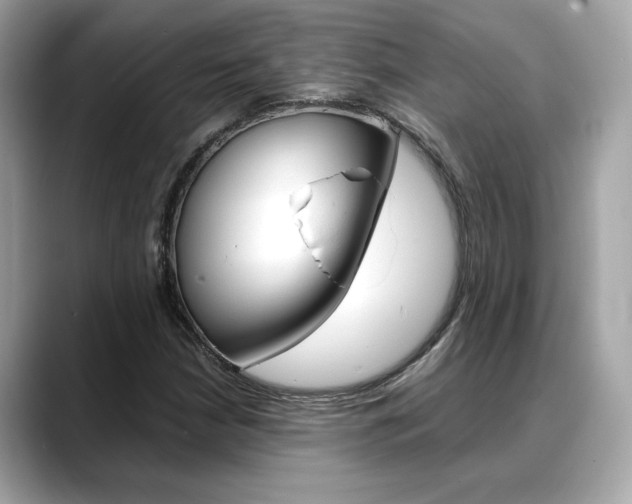 X0000088701210200705311010