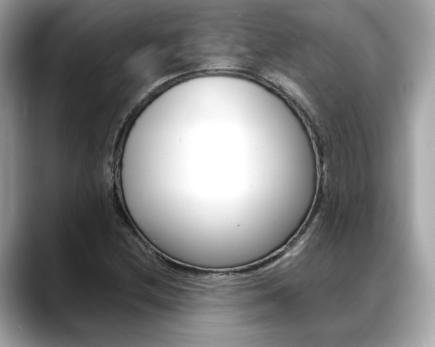X0000088701212200705311010