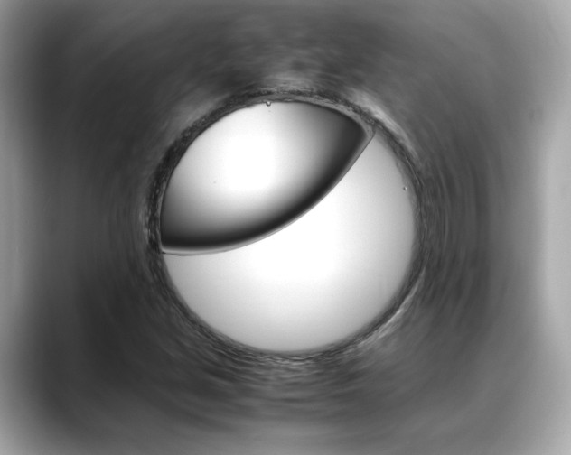 X0000088701213200705311010