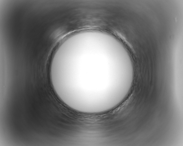 X0000088701214200705311010