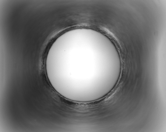 X0000088701215200705311010