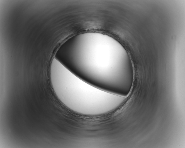 X0000088701217200705311010